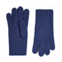 Men&rsquo;s blue gloves